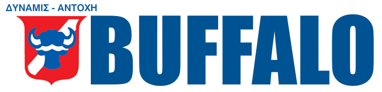 Buffalo logo